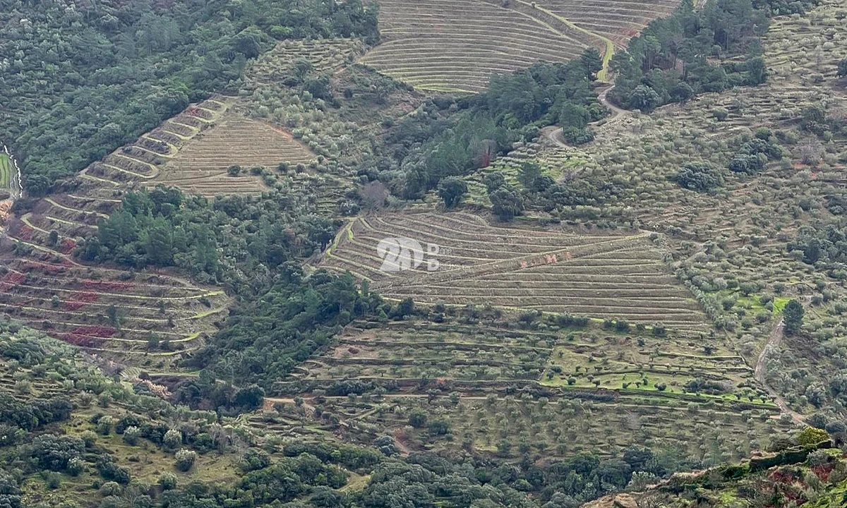 Quinta T0 para Venda em Távora e Pereiro Foto 5