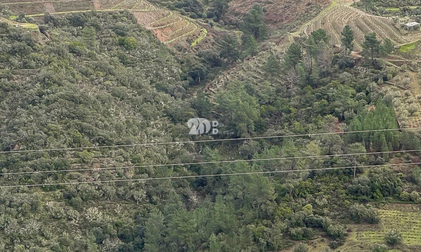 Quinta T0 para Venda em Távora e Pereiro Foto 10
