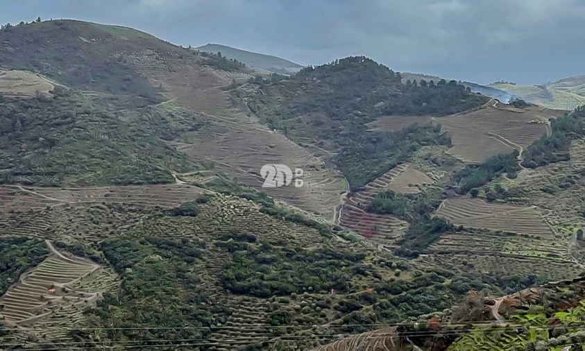 Quinta T0 para Venda em Távora e Pereiro Foto 3