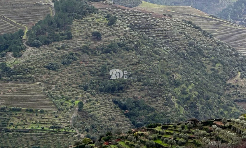 Quinta T0 para Venda em Távora e Pereiro Foto 6