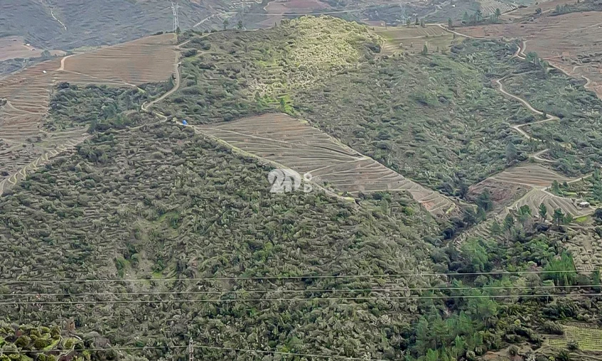 Quinta T0 para Venda em Távora e Pereiro Foto 2