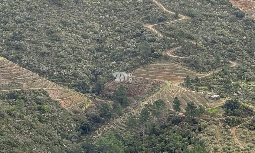 Quinta T0 para Venda em Távora e Pereiro Foto 9