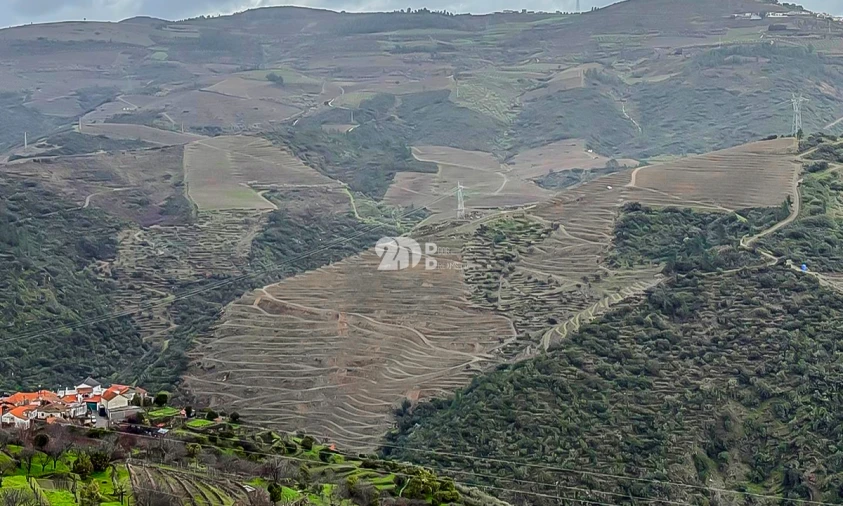 Quinta T0 para Venda em Távora e Pereiro Foto 1