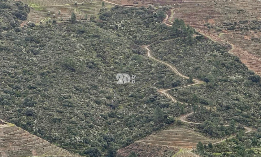 Quinta T0 para Venda em Távora e Pereiro Foto 8