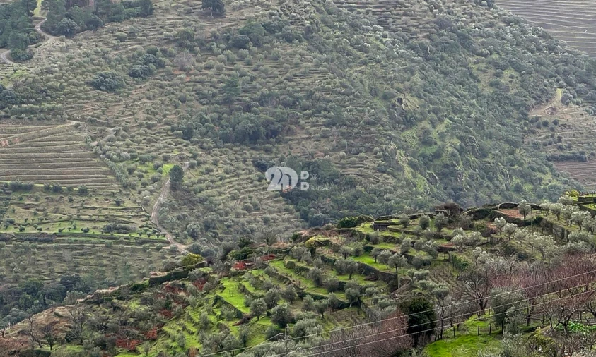 Quinta T0 para Venda em Távora e Pereiro Foto 7