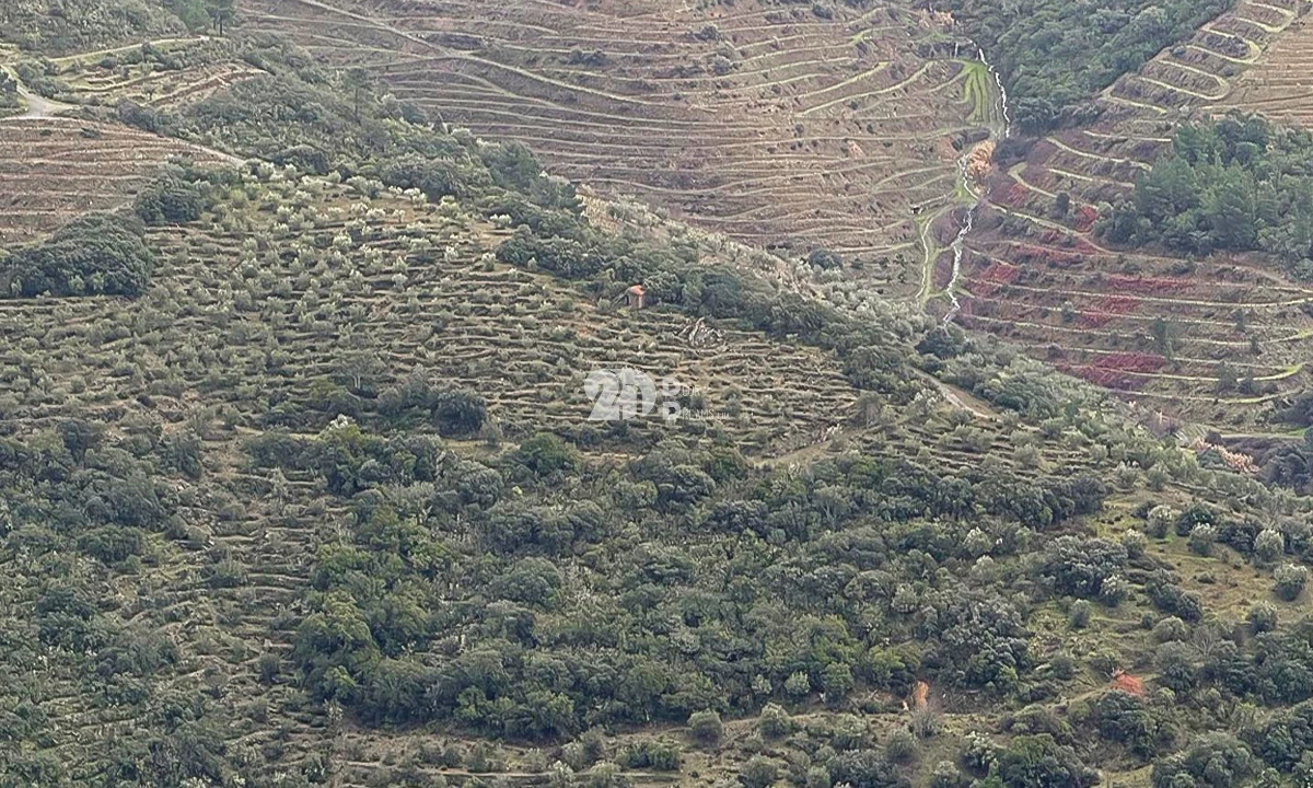 Quinta T0 para Venda em Távora e Pereiro Foto 4