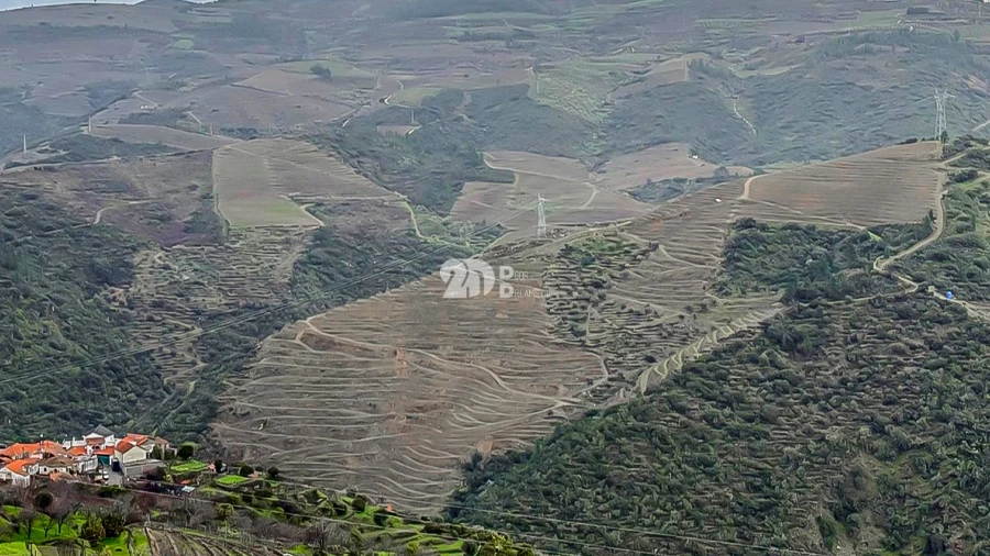 Quinta T0 para Venda em Távora e Pereiro