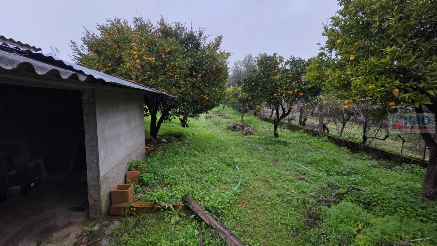 Moradia T4 para Venda em Escalos de Cima e Lousa Foto 28