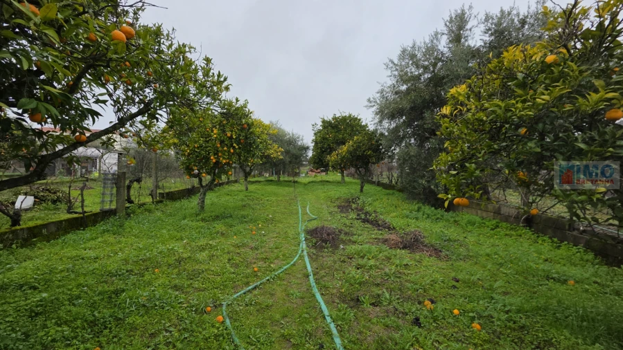 Moradia T4 para Venda em Escalos de Cima e Lousa Foto 31