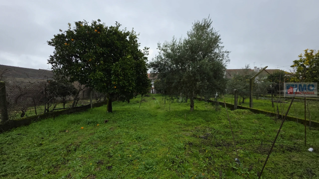 Moradia T4 para Venda em Escalos de Cima e Lousa Foto 38