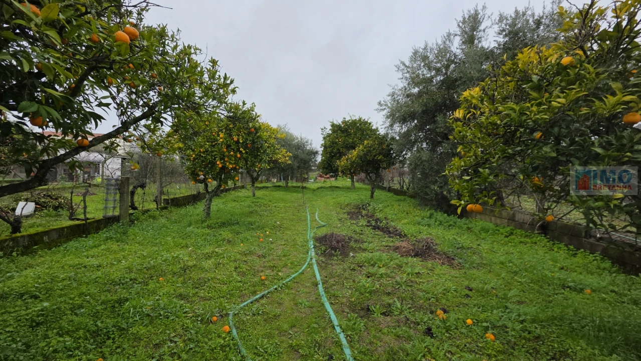 Moradia T4 para Venda em Escalos de Cima e Lousa Foto 31