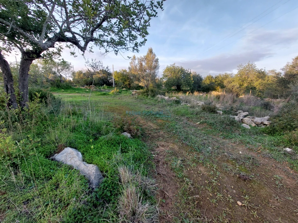 Terreno Agricola ou Rústico para Venda em Conceição e Estoi Foto 5