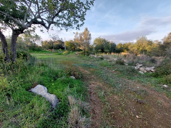 Terreno Agricola ou Rústico para Venda em Conceição e Estoi Foto 5