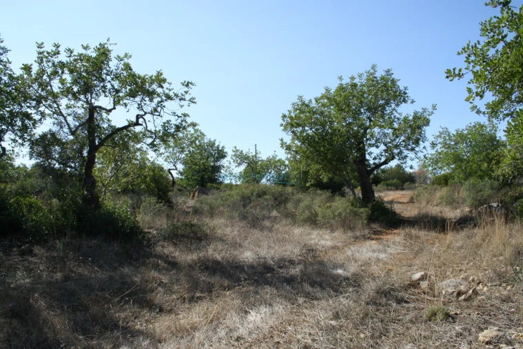 Terreno Agricola ou Rústico para Venda em Conceição e Estoi Foto 12
