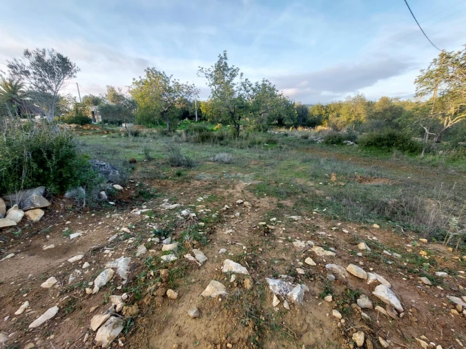Terreno Agricola ou Rústico para Venda em Conceição e Estoi Foto 4