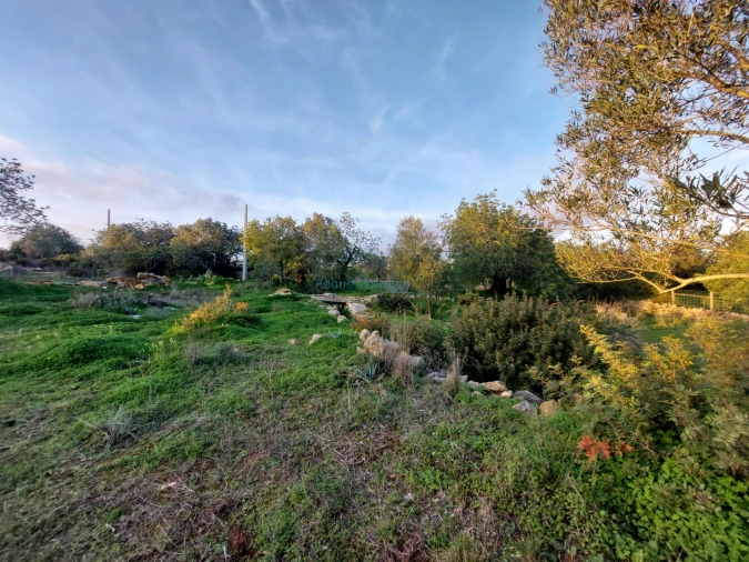 Terreno Agricola ou Rústico para Venda em Conceição e Estoi Foto 11