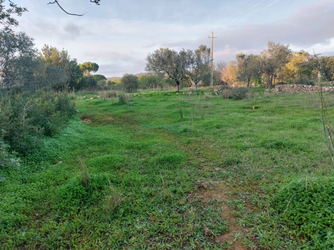 Terreno Agricola ou Rústico para Venda em Conceição e Estoi Foto 10