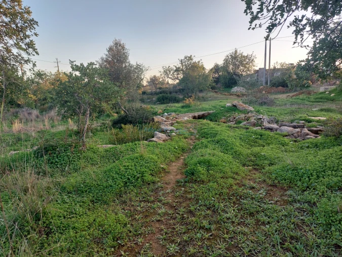 Terreno Agricola ou Rústico para Venda em Conceição e Estoi Foto 7