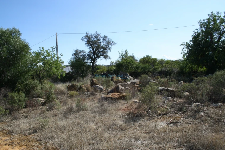 Terreno Agricola ou Rústico para Venda em Conceição e Estoi Foto 13