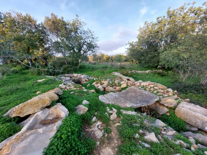 Terreno Agricola ou Rústico para Venda em Conceição e Estoi Foto 8