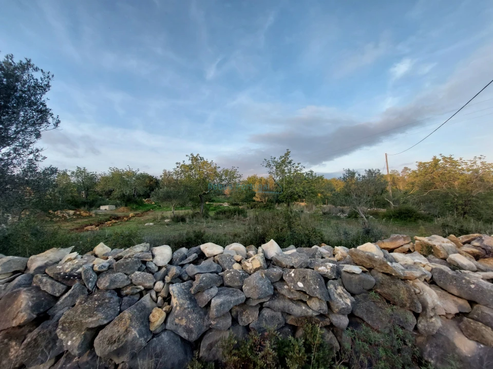 Terreno Agricola ou Rústico para Venda em Conceição e Estoi Foto 9