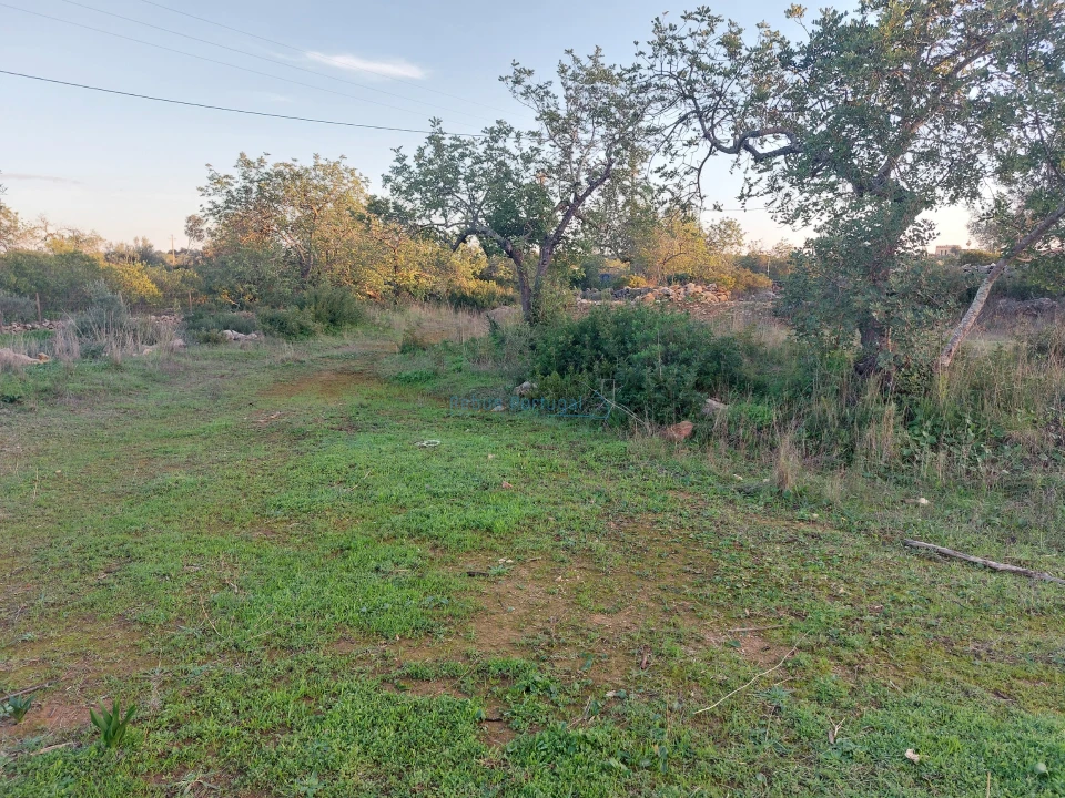 Terreno Agricola ou Rústico para Venda em Conceição e Estoi Foto 1