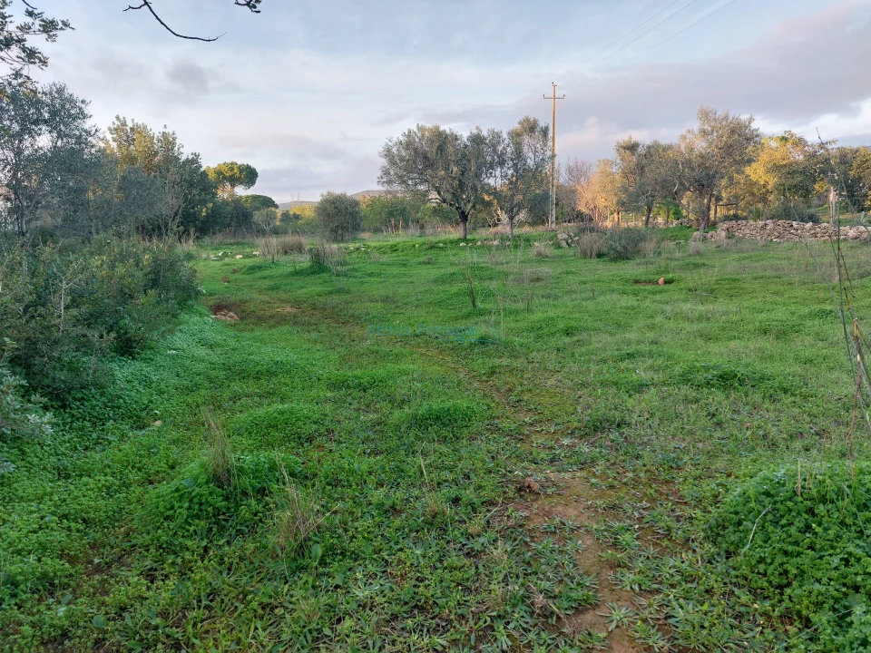 Terreno Agricola ou Rústico para Venda em Conceição e Estoi Foto 10