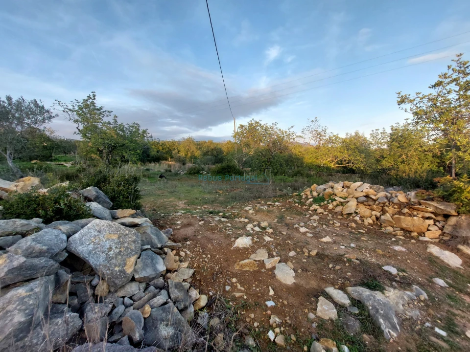 Terreno Agricola ou Rústico para Venda em Conceição e Estoi Foto 6