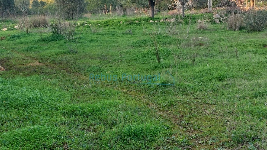 Terreno Agricola ou Rústico para Venda em Conceição e Estoi