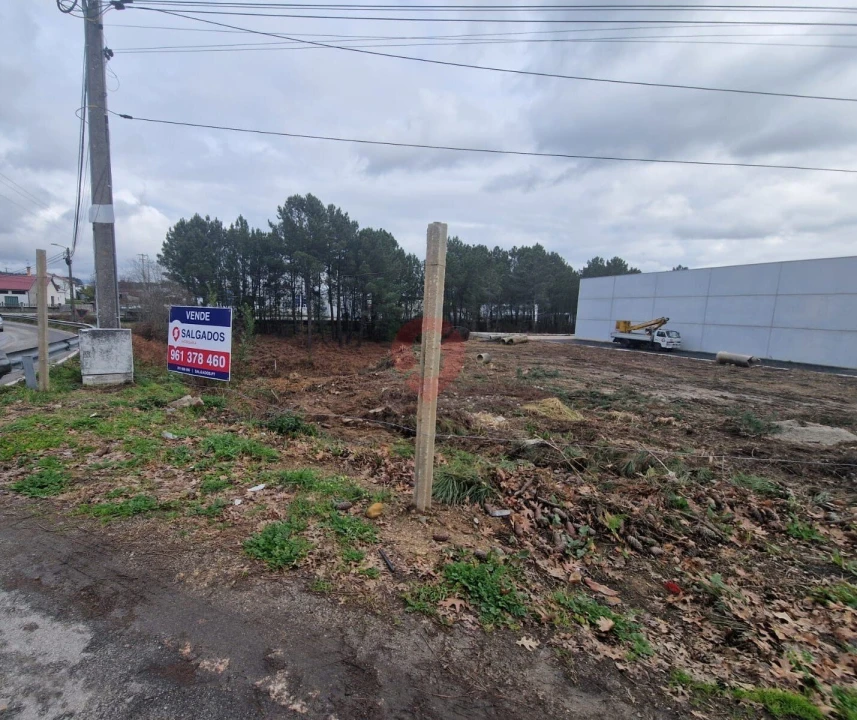 Terreno para Venda em Troporiz e Lapela Foto 4
