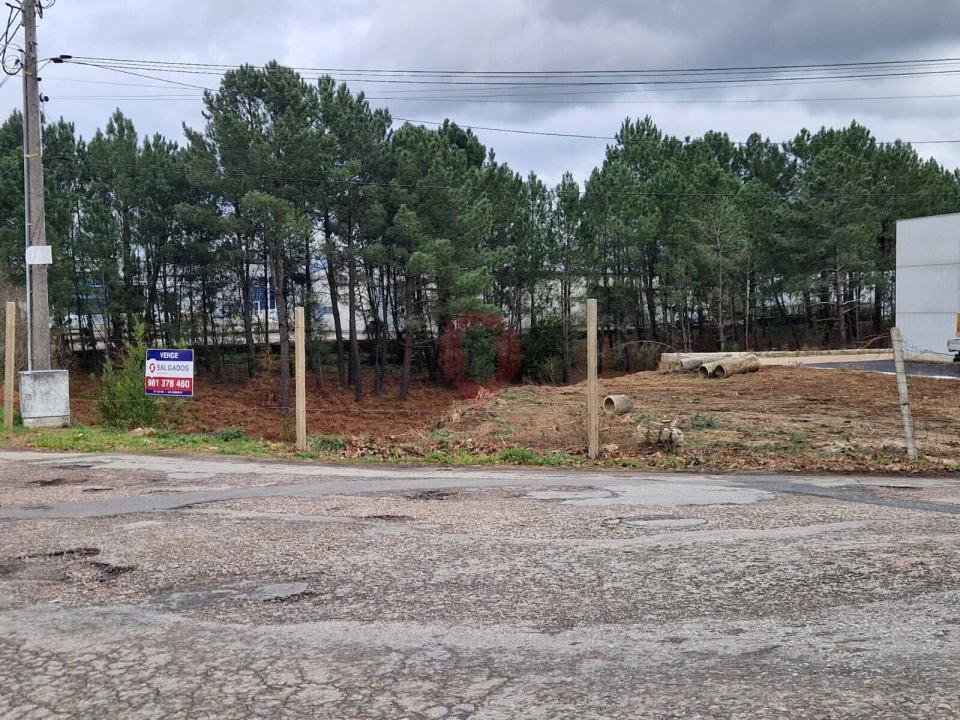 Terreno para Venda em Troporiz e Lapela Foto 2