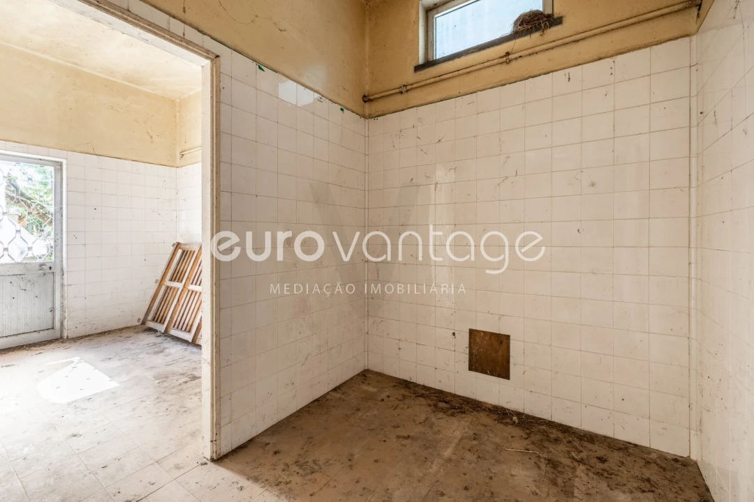 Armazém para Venda em Amor Foto 12