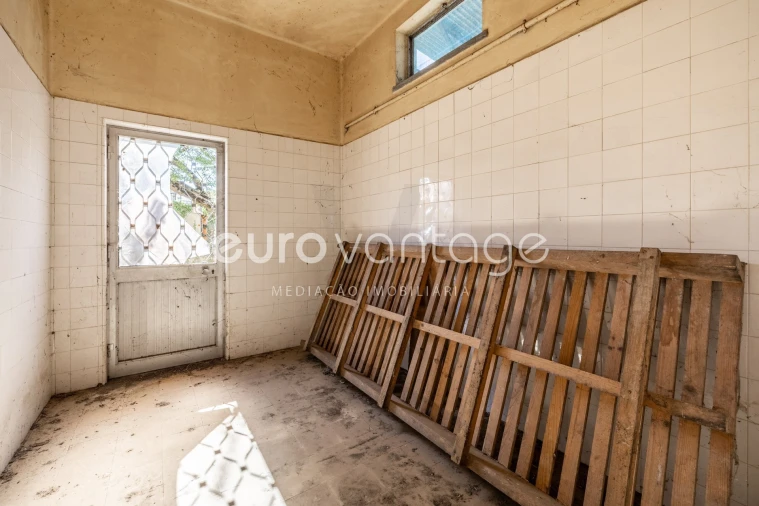 Armazém para Venda em Amor Foto 13