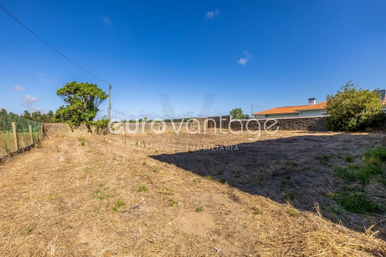 Armazém para Venda em Amor Foto 18