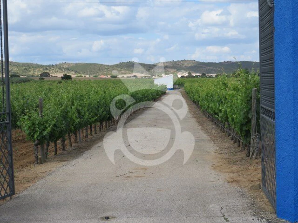 Terreno para Venda em Monsaraz Foto 8