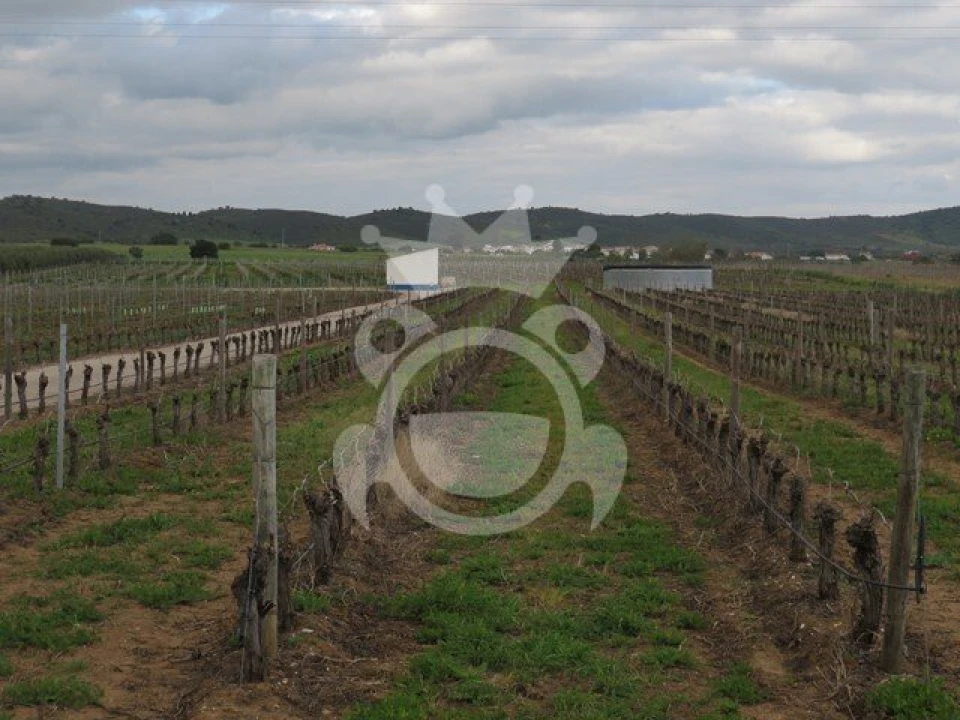 Terreno para Venda em Monsaraz Foto 14