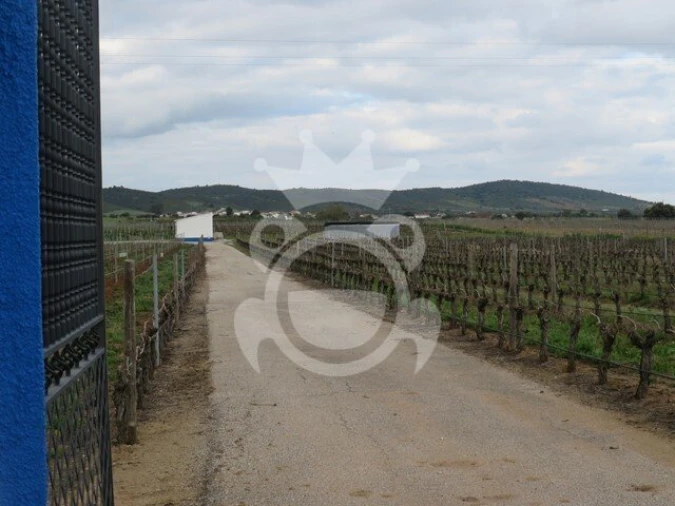 Terreno para Venda em Monsaraz Foto 13