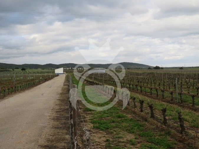 Terreno para Venda em Monsaraz Foto 15