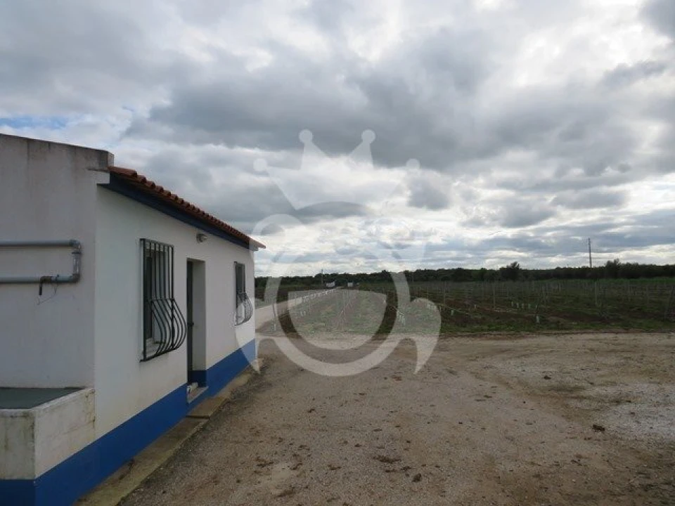 Terreno para Venda em Monsaraz Foto 18