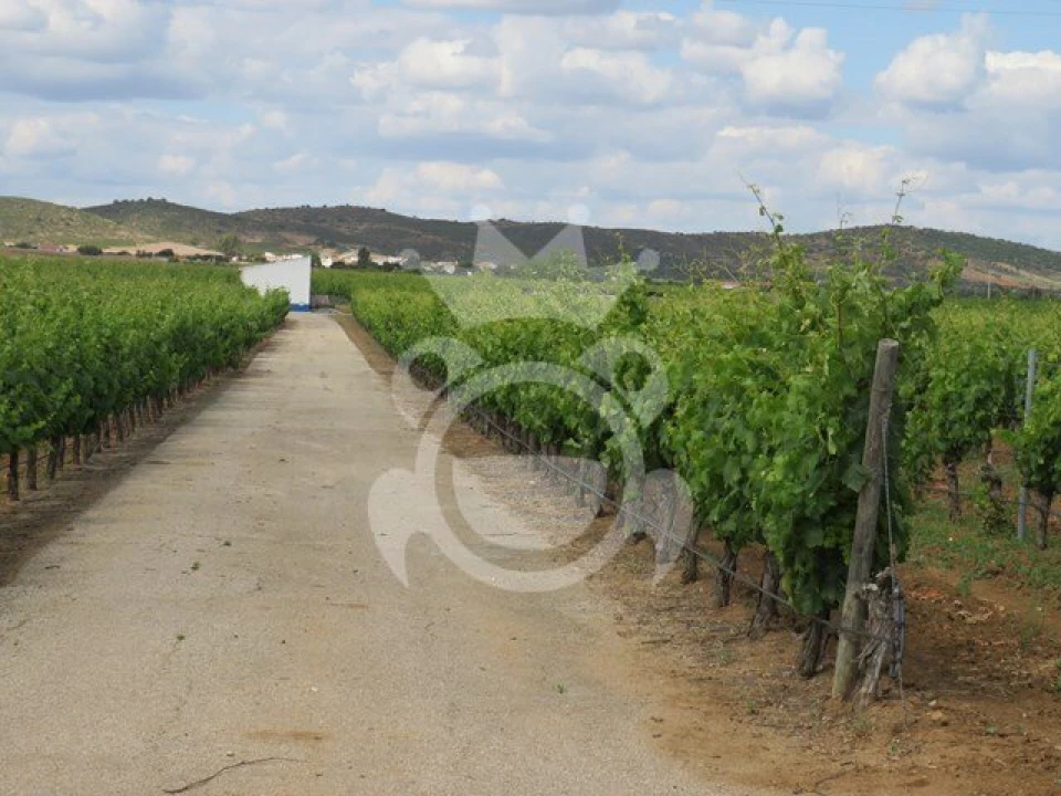 Terreno para Venda em Monsaraz Foto 7