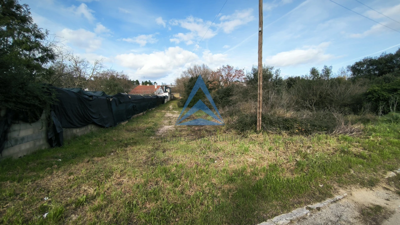 Terreno para Venda em São João Baptista e Santa Maria dos Olivais Foto 9