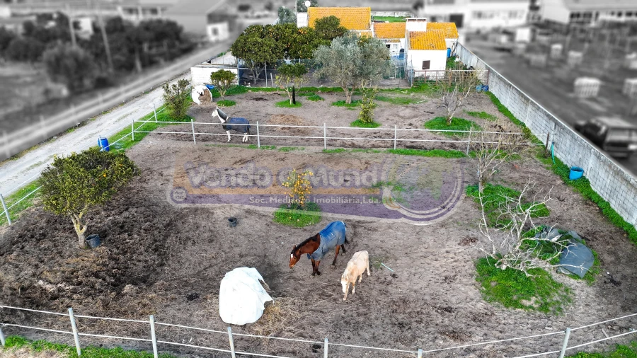 Terreno para Venda em Samora Correia Foto 1