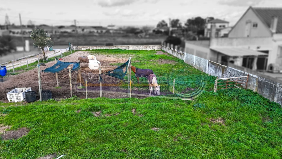 Terreno para Venda em Samora Correia Foto 5