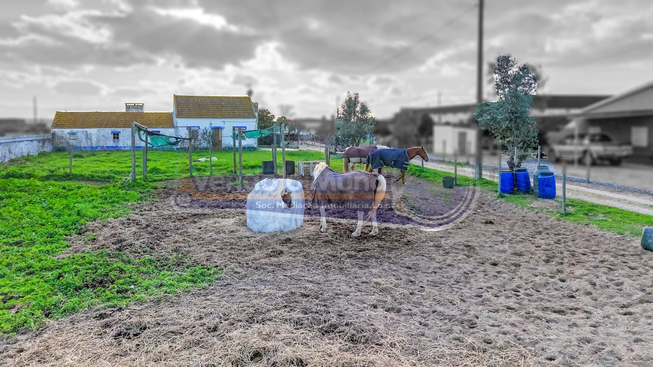 Terreno para Venda em Samora Correia Foto 4