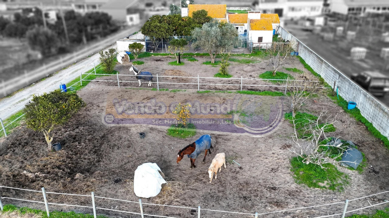 Terreno para Venda em Samora Correia Foto 1