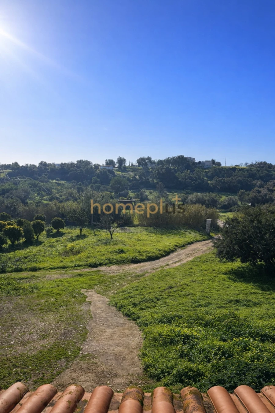 Quinta T3 para Venda em Quelfes Foto 4