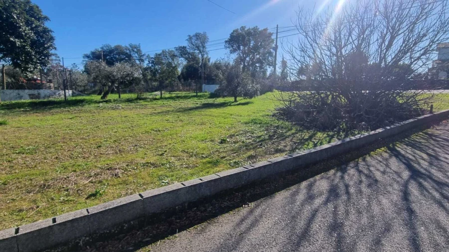 Terreno para Venda em Sertã Foto 3