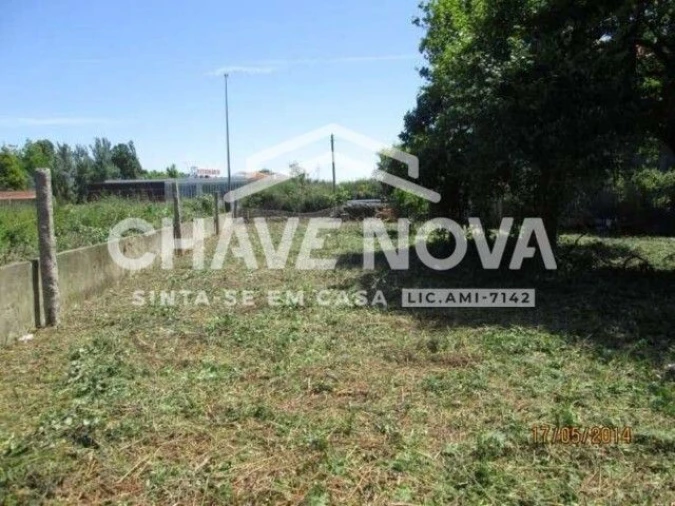 Terreno P/ Prédio para Venda em Arcozelo Foto 8