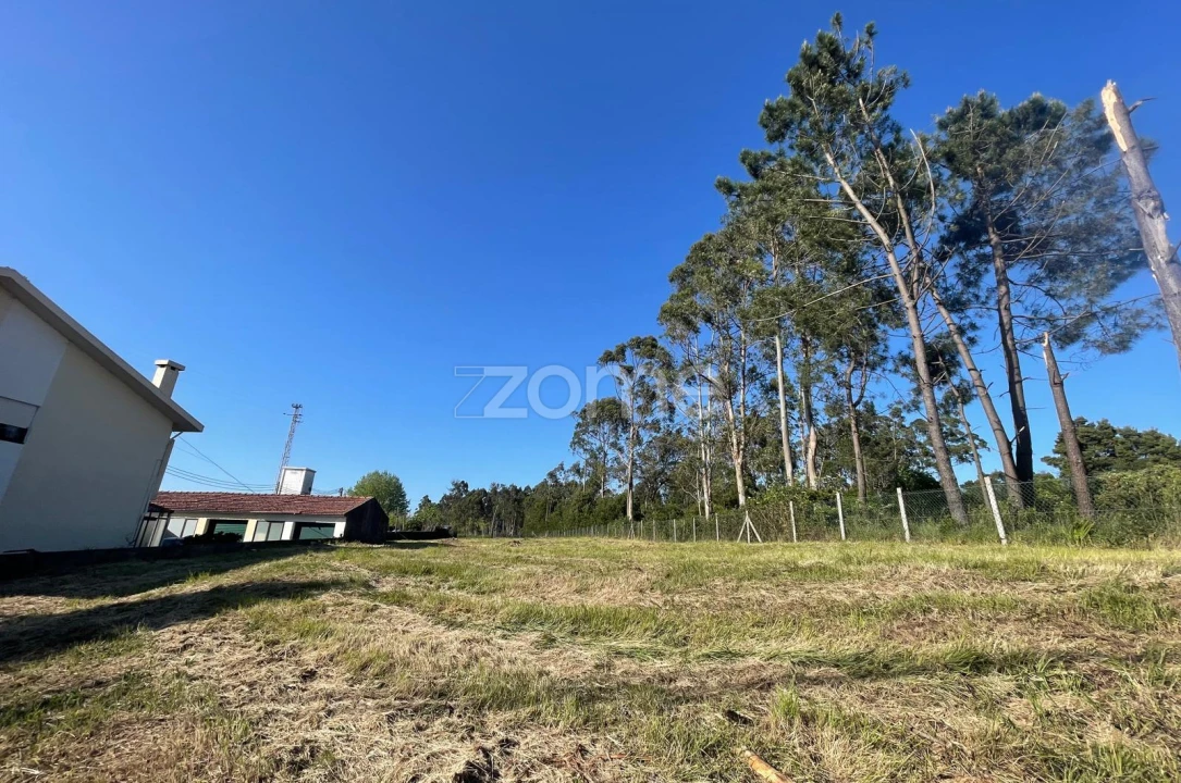 Terreno para Venda em Silvalde Foto 13