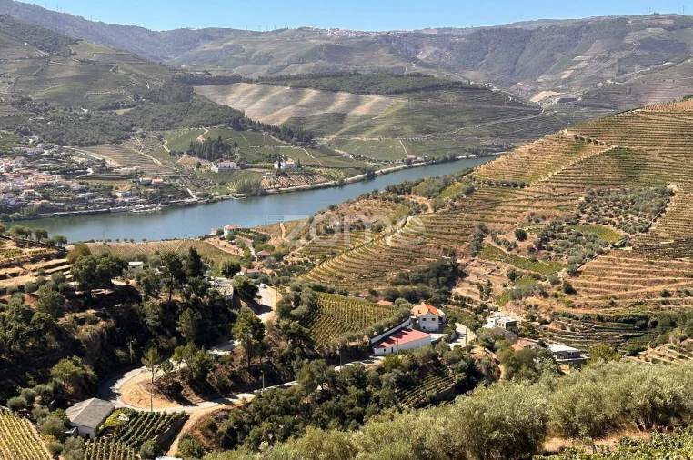 Moradia T3 para Venda em Galafura e Covelinhas Foto 2